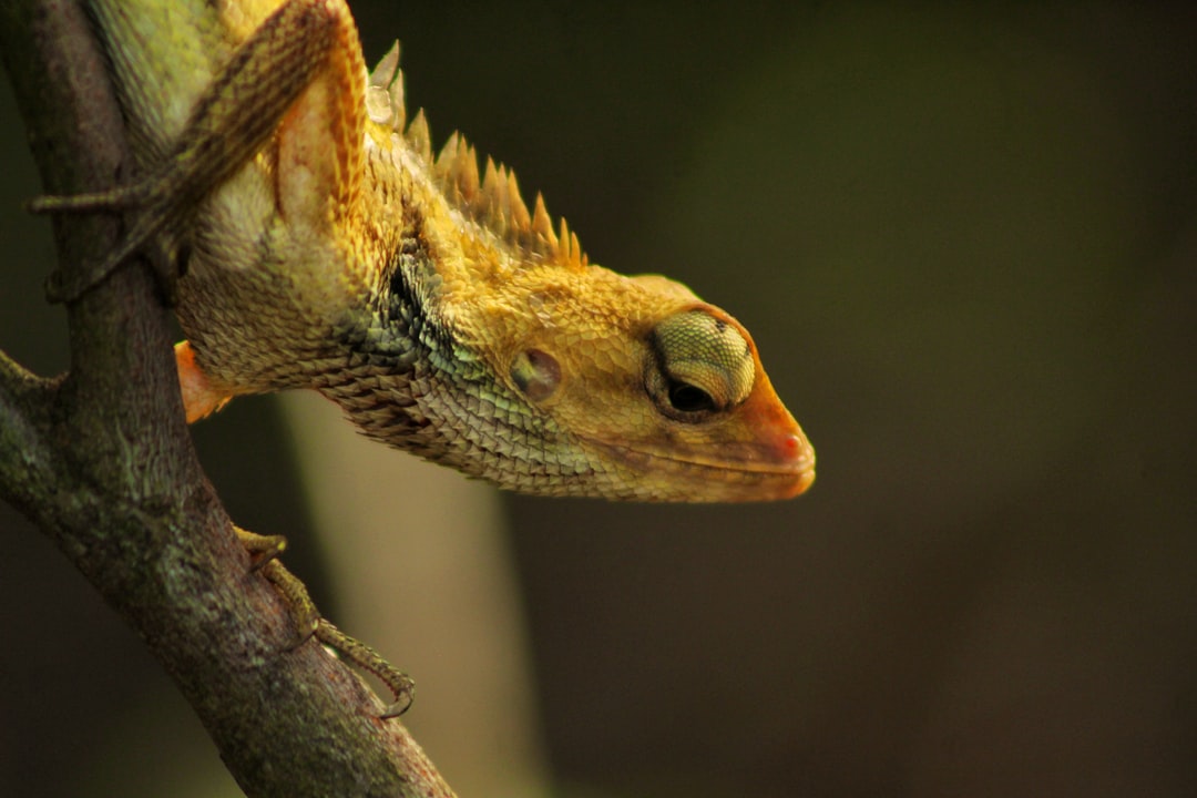 Analysis Quality Control (QC) on CT Scan in RSUZA Banda Aceh an Effort to Get the Best Quality in Image Image