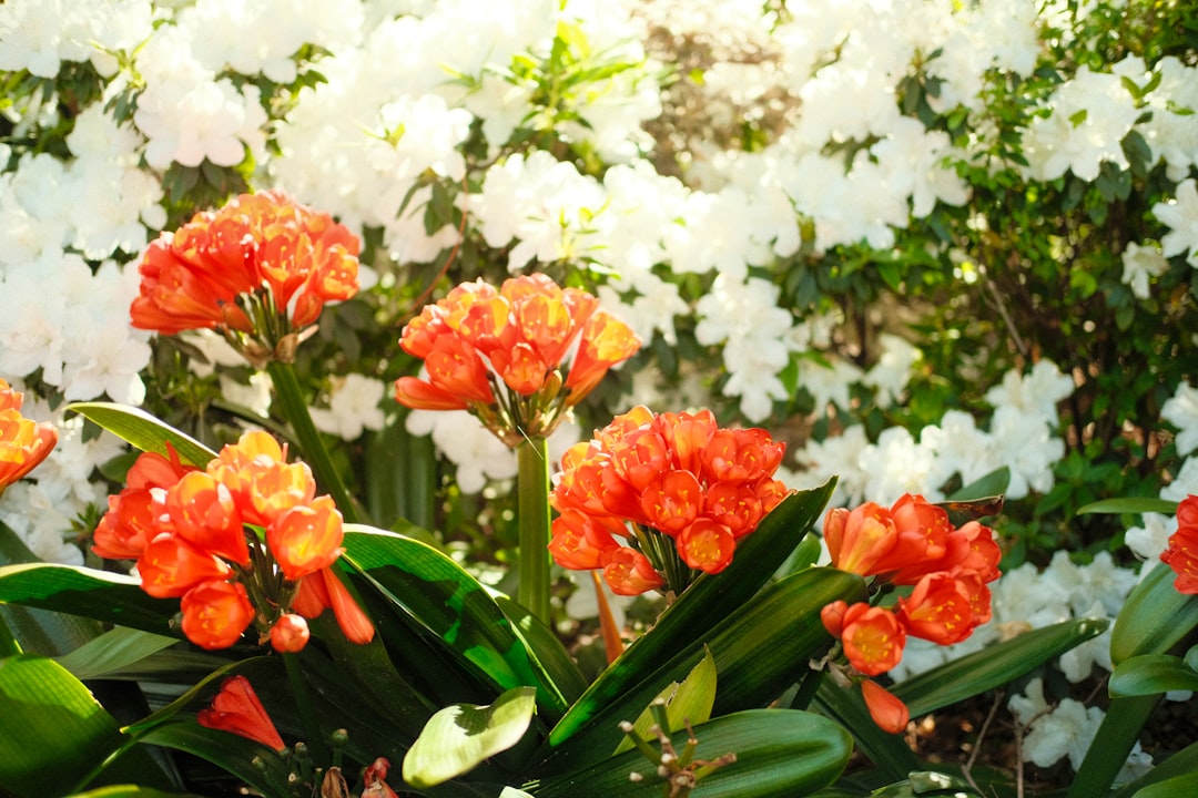 E\u002DLEARNING DURING LOCKDOWN OF COVID\u002D19 PANDEMIC IN INDIA Image