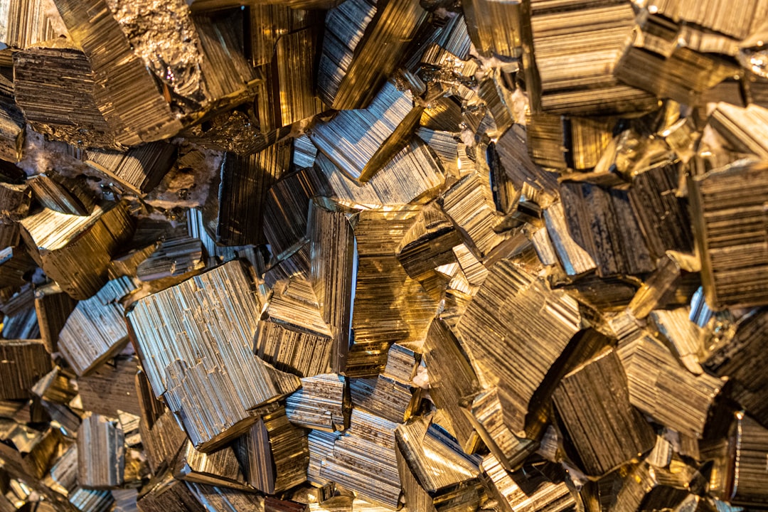 Pengembangan Produk Olahan Berbasis Belimbing Manis (Averhoa Carambola L.) di Agrowisata Kebun Belimbing Ngringinrejo Kecamatan Kalitidu Bojonegoro Image